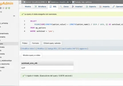 Query SQL wp_options autoload WordPress database lento